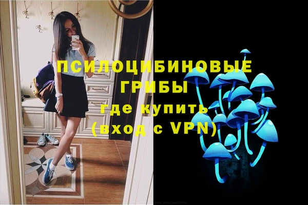 спиды Алексеевка