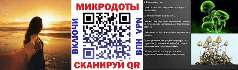 Псилоцибиновые грибы Psilocybine cubensis Новоульяновск